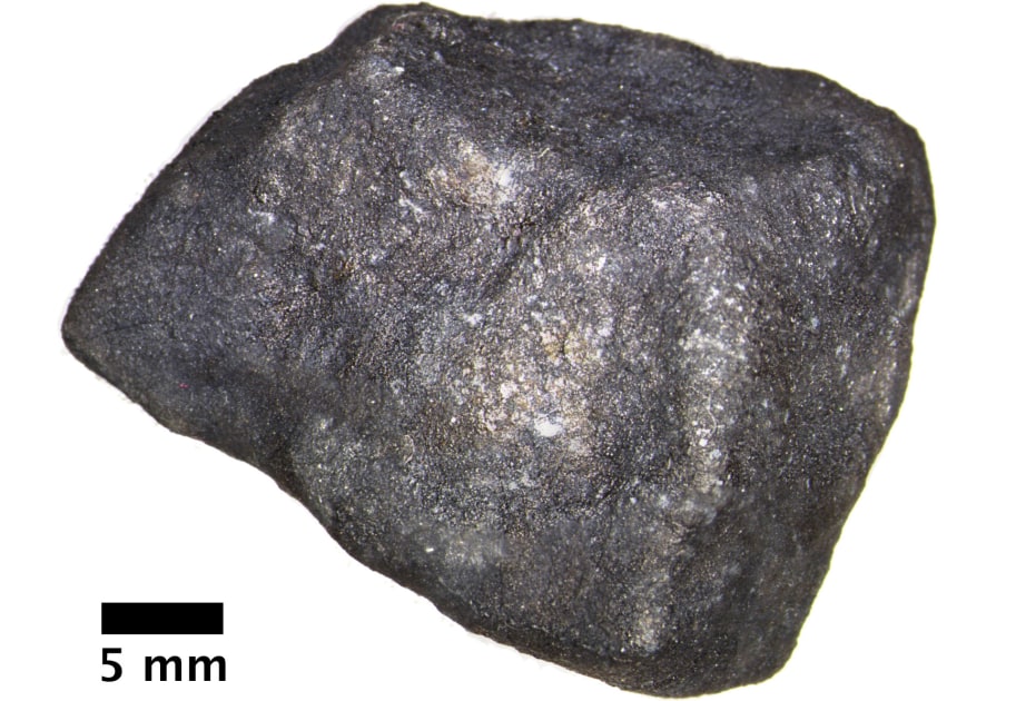 Michiganski meteorit vsebuje “neokrnjene” nezemeljske organske spojine