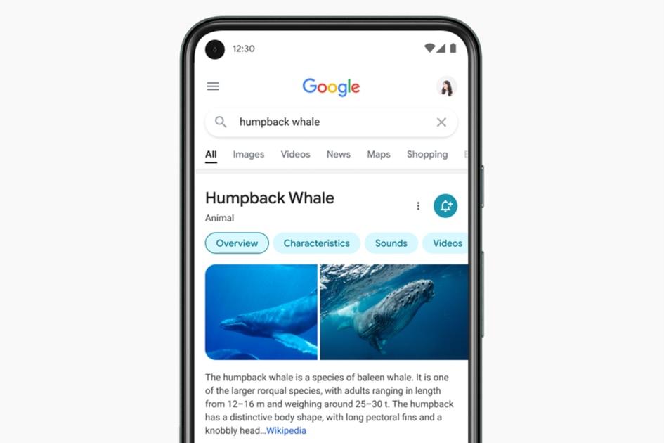 google-mobile-search-redesign-focuses-on-results-not-frills-unfold-times