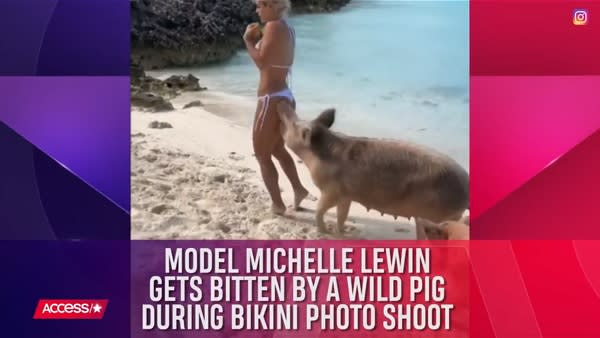 人気フィットネスモデルが バハマのビーチで撮影中に野生の豚にお尻を噛まれる 映像 Aol ニュース