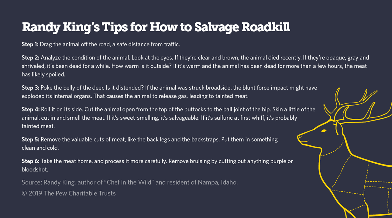 How to salvage roadkill