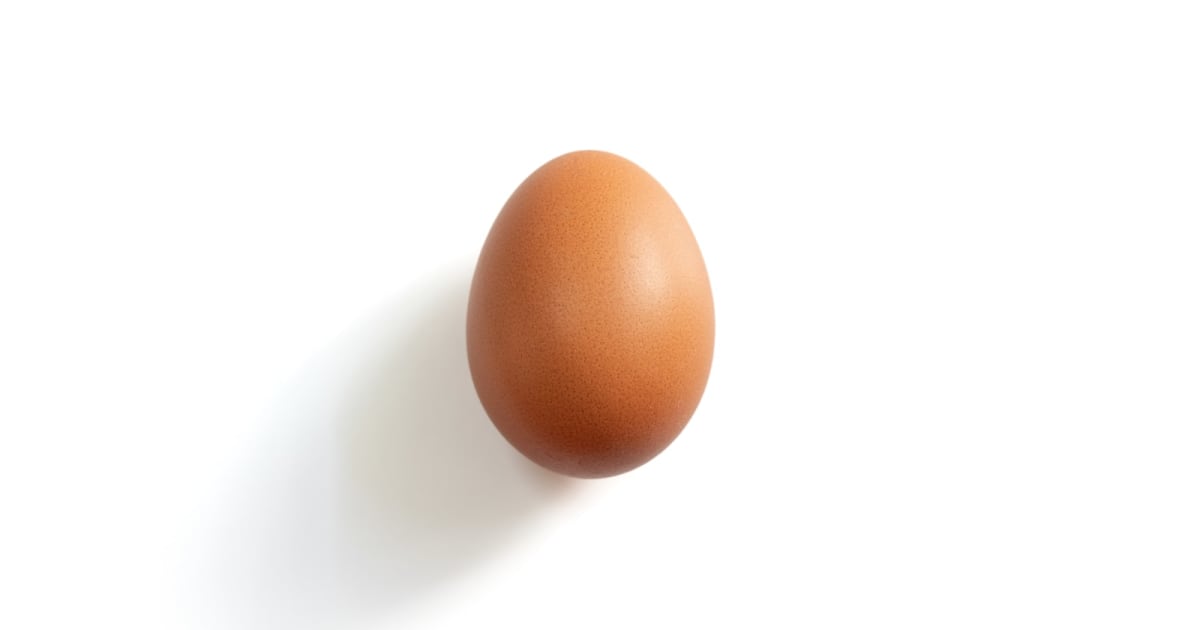 World Record Egg was one of the top tweets of 2019 1
