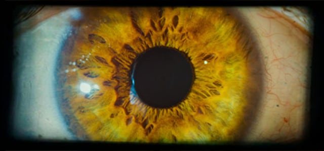 An image of an eye from the "Project A" Steam page.