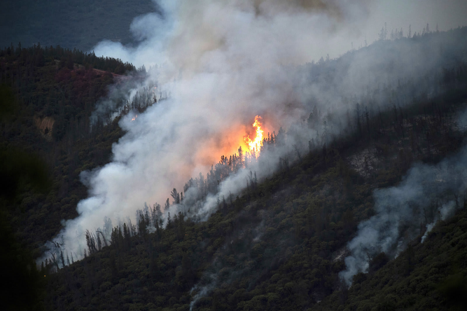AP Explains Wildfires Ruin and Regeneration