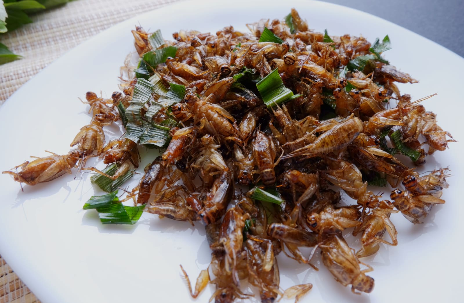 Horse cricket fried with sliced lemon grass