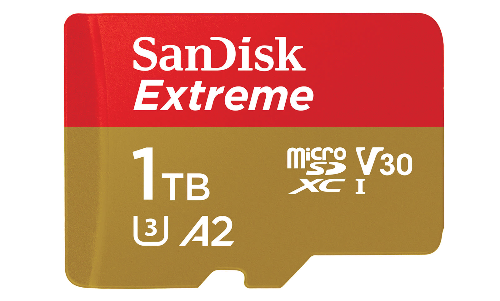 1TB microSD cards