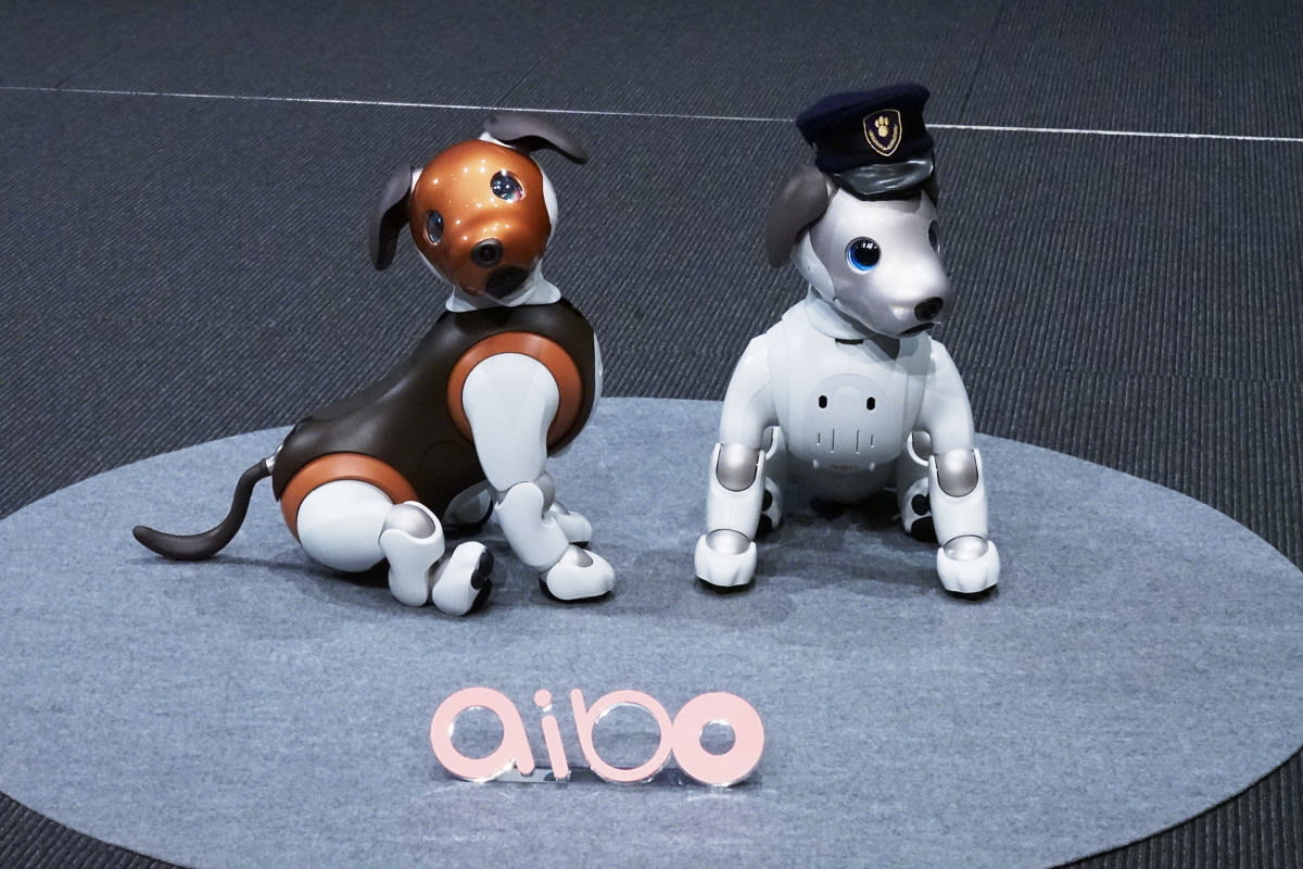 Aiboの新しい仲間 チョコ エディション 2月1日発売 本日1月23日より予約開始 Engadget 日本版
