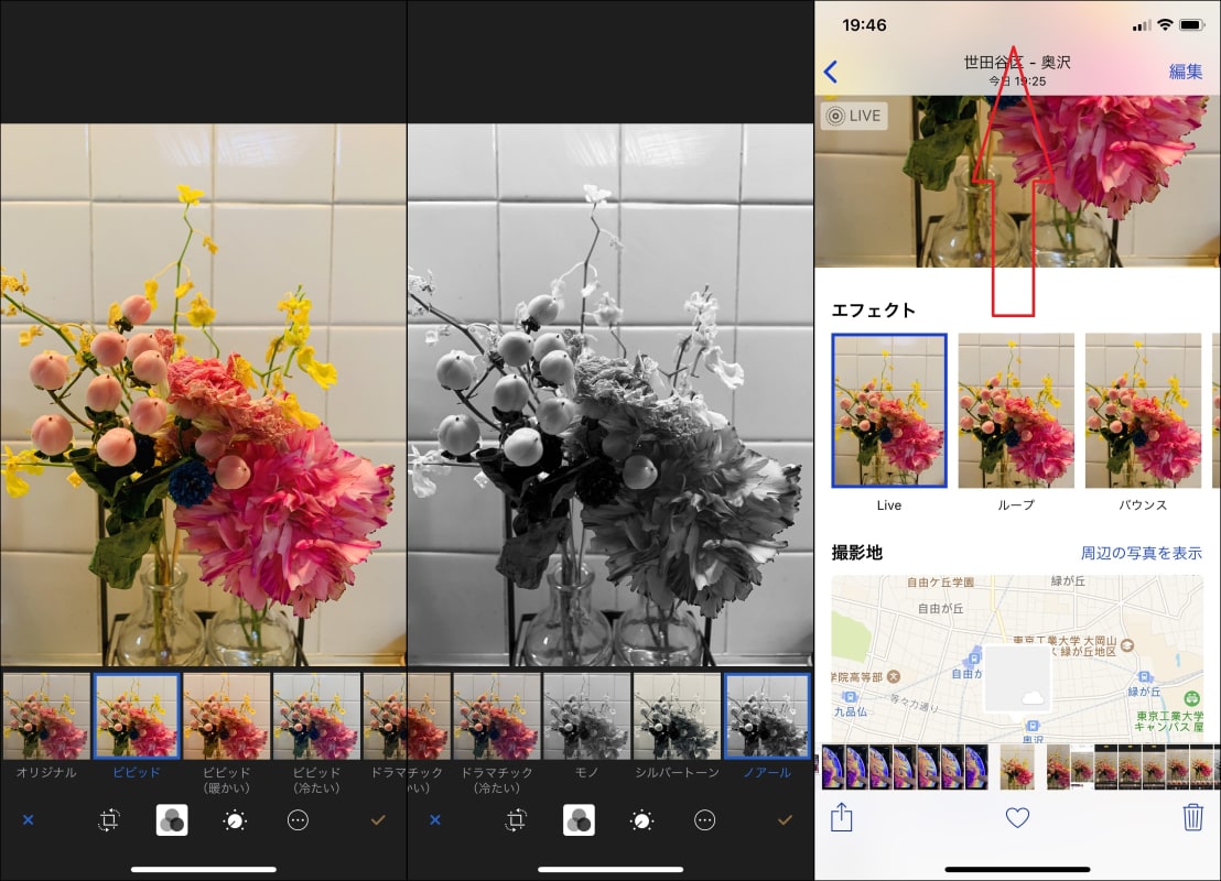 Live Photosの動く写真を壁紙にできるって知ってました Iphone Tips Engadget 日本版