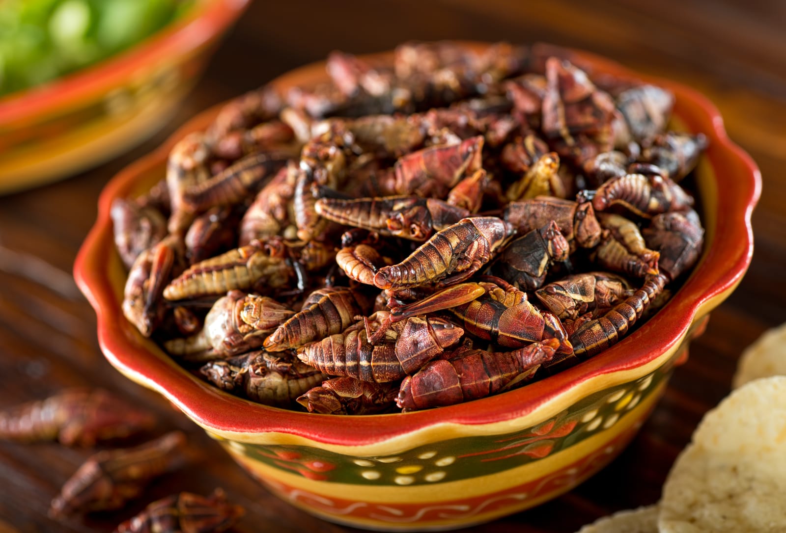 Chapulines Fried Mexican Grasshoppers