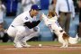 Ohtani and his dog share first-pitch duties before Dodgers superstar blasts leadoff homer